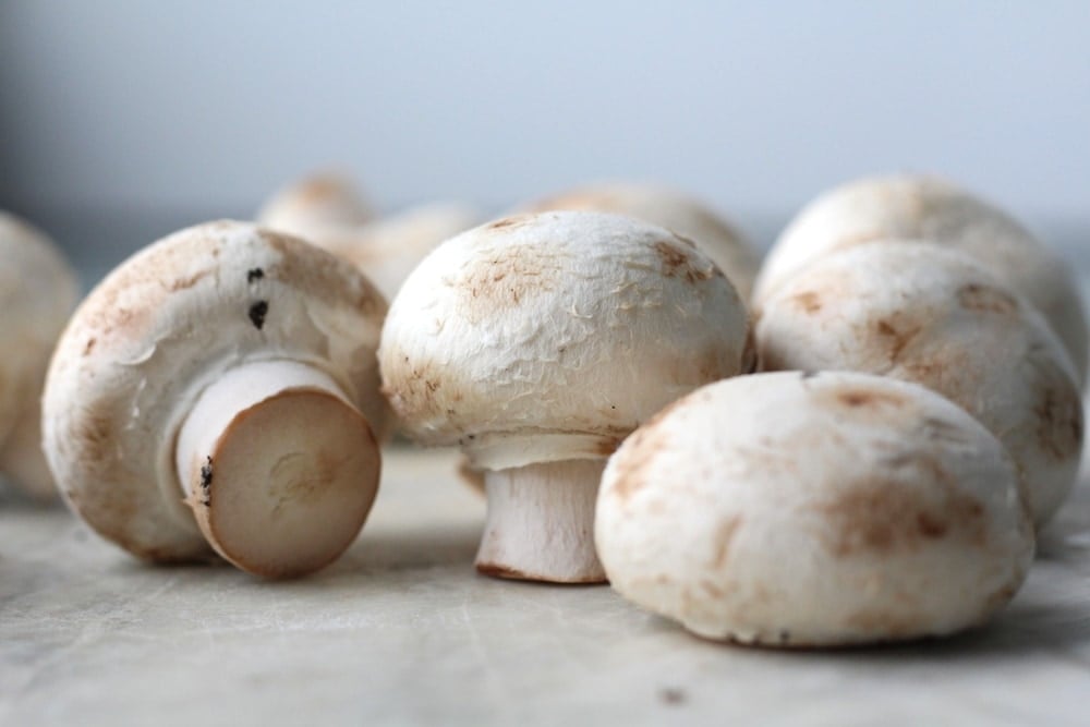 Close up of white button mushrooms.
