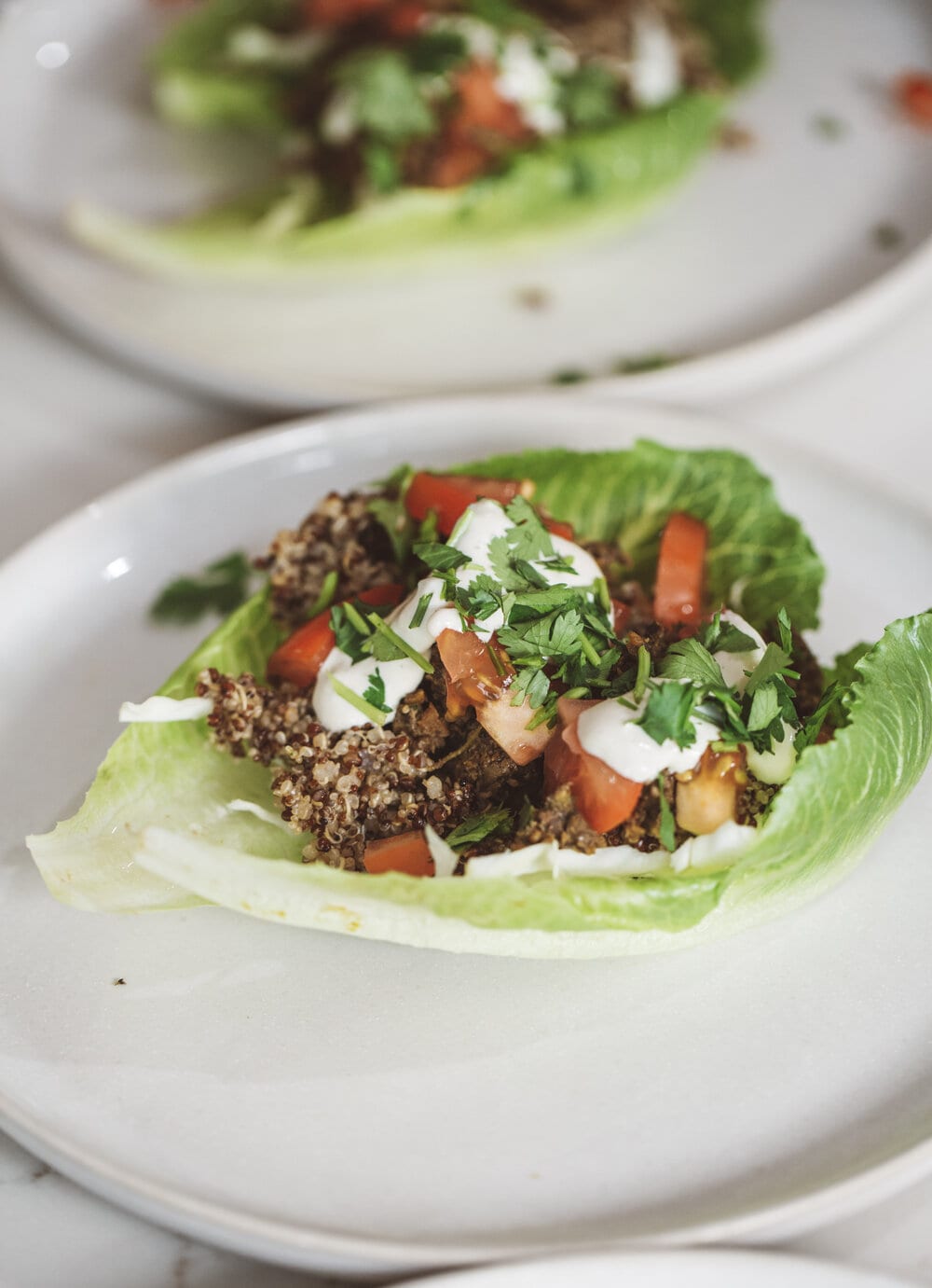 Supper club entree - mushroom mince tacos.